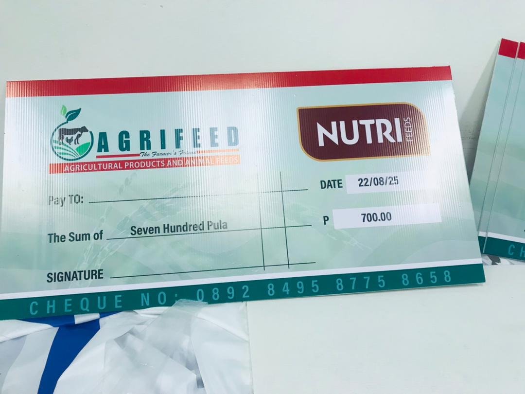 Dummy Cheque